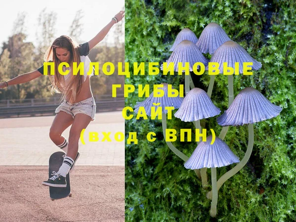 MESCALINE Куйбышев