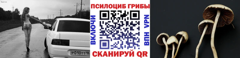 где купить   ОМГ ОМГ рабочий сайт  Галлюциногенные грибы мицелий  Сураж 